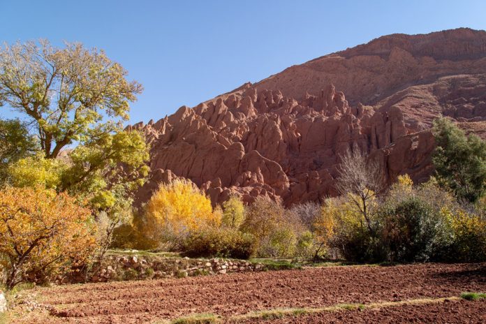 agricultura marruecos