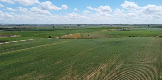 Pide a las fuerzas políticas que incluyan la doble tarificación eléctrica para los regadíos en la Ley de la PAC regadío