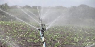Los agricultores prefieren la asignación proporcional de agua, y no el impuesto adicional regadío