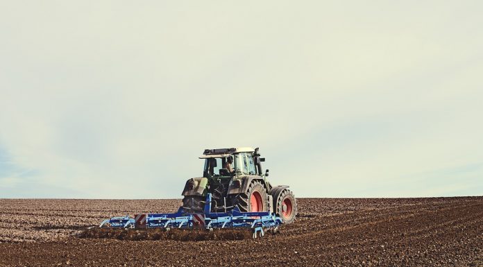 La renta agraria es un 53,7 por ciento inferior que la de otras actividades campo arado