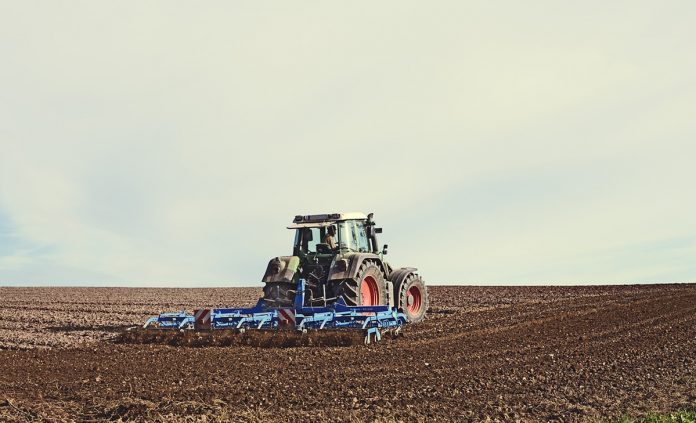 campo arado