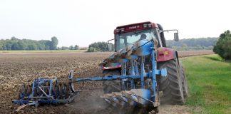 Castilla-La Mancha comienza a pagar el anticipo de la PAC a 80.000 agricultores y ganaderos arar