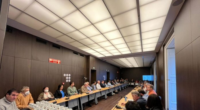 La industria y producción ovina y caprina de España, en una “situación límite” ANAFRIC