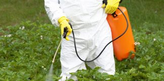 Prohibición del glifosato ¿qué alternativas hay al herbicida más utilizado en el mundo? herbicidas