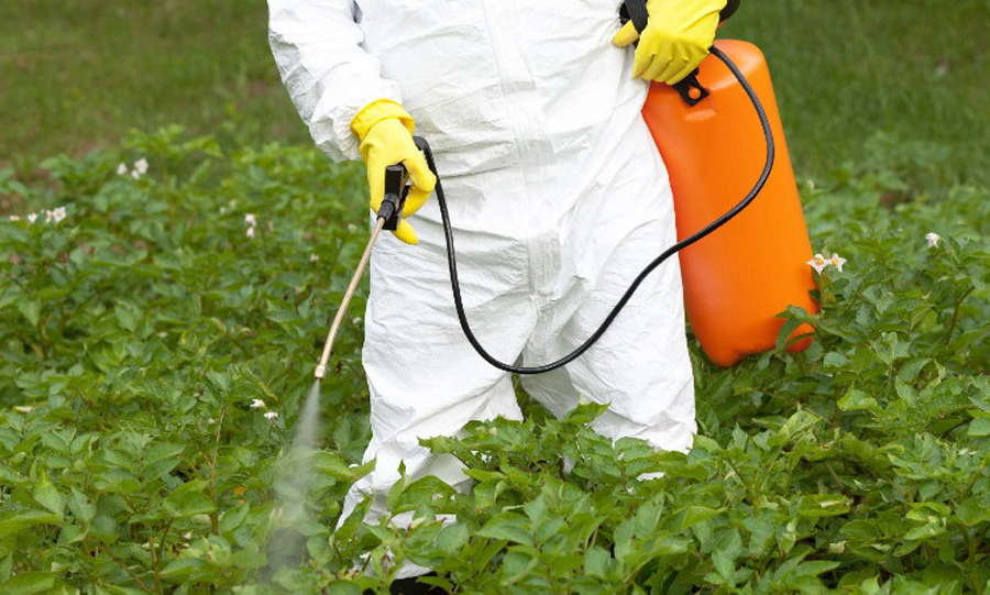 Prohibición del glifosato ¿qué alternativas hay al herbicida más utilizado  en el mundo? - AgroCLM