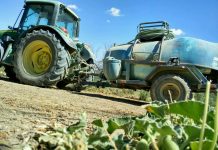 El sector agrario español alerta sobre la falta de herramientas fitosanitarias fitosanitarios