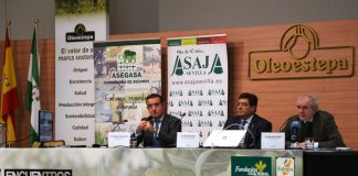Las exigencias medioambientales de la nueva PAC pueden hacer perder a los olivareros andaluces la cuarta parte de sus ayudas