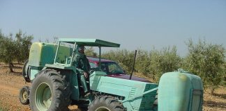 El Consejo Europeo, preocupado por las repercusiones de la limitación de los productos fitosanitarios