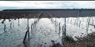 Vídeo: Las lluvias ya anegan fincas agrarias de Castilla-La Mancha
