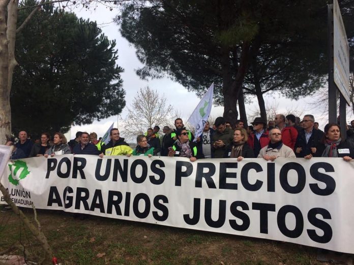 Manifestación Unión Extremadura