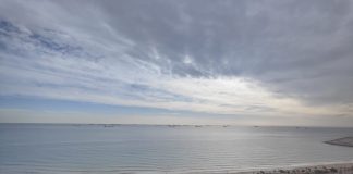 La esperanza para los vendedores de una subida de precios de cereales es “muy improbable” Puerto de Tarragona