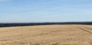 VOX culpa a las “políticas radicales de la Agenda 2030” de la situación del campo barbecho