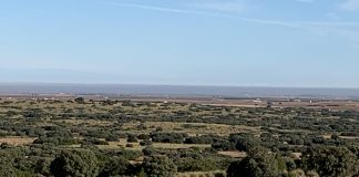 Este año no se penalizará en la PAC los incumplimientos en los eco regímenes campo