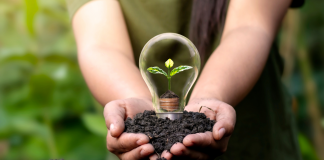 Cómo reducir tu huella de carbono con la energía verde energía verde