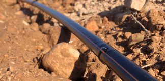 ¿Cuántos tipos de goteros se emplean en la agricultura de regadío y cuáles son sus diferencias? goteros de riego