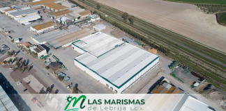 La mayor cooperativa agrícola andaluza aplica un Expediente de Regulación Temporal de Empleo (ERTE) ante la bajada de ingresos por la sequía Cooperativa 'Las Marismas'