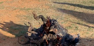 ¿Cómo se deben quemar los restos agrícolas a menos de 400 metros de monte? quema de restos