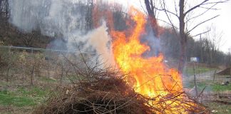 Andalucía suspende excepcionalmente las quemas agrícolas quema de restos