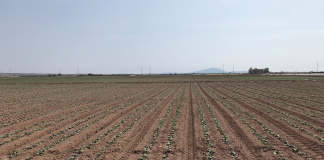 Diez consejos para ahorrar energía en las explotaciones de regadío riego goteros