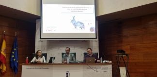 “Castilla-La Mancha tiene que facilitar la incorporación y el equilibrio del conejo con una agricultura que se autoproteja” reunión conejo