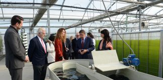 Los bioestimulantes, un insumo clave para una agricultura más sostenible, productiva y rentable