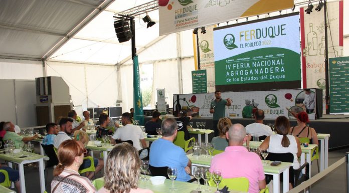 Convocan un concurso para elegir la imagen del cartel anunciador de FERDUQUE 2026