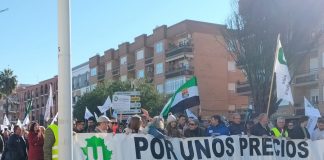 Mil agricultores y ganaderos se manifiestan contra la “discriminación” del sector primario extremeño