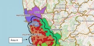 Alerta que importantes cultivos de España están “al borde de la catástrofe” por la Xylella fastidiosa Xylella fastidiosa