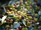 Los precios del aceite de oliva español, por debajo del italiano y griego aceitunas