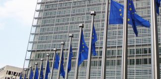 ¿Qué piden agricultores y ganaderos en las elecciones europeas? banderas UE