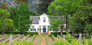 Famosos y millonarios se fijan en el campo español finca