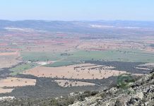 La crisis de la vivienda impulsa al alza la compraventa de fincas rústicas hectárea agraria