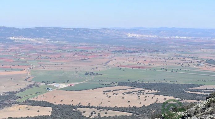 La crisis de la vivienda impulsa al alza la compraventa de fincas rústicas hectárea agraria
