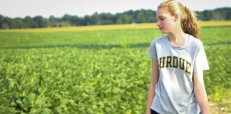 Abierto el plazo para solicitar las ayudas de incorporación de jóvenes al campo y planes de mejora joven agricultora