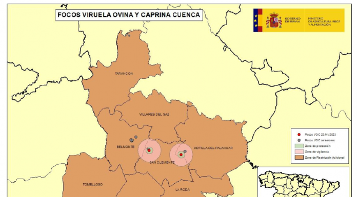 Castilla-La Mancha intensifica la vigilancia de Viruela Ovina y Caprina