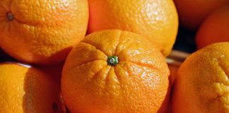 ¿Cuánto cobra el agricultor por sus naranjas y mandarinas? naranjas