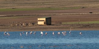 Una organización ecologista compra una laguna en la provincia de Cuenca
