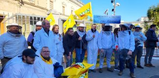 Los apicultores reclaman ayudas urgentes para un sector que agoniza manifestación de apicultores
