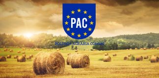 Nueva PAC: Datos de ecorregímenes sobredimensionados y escasa acogida a las ayudas asociadas PAC