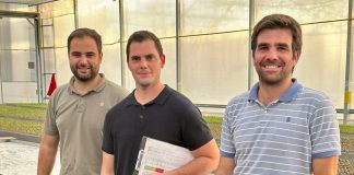 Desarrollan un Programa de Mejora Genética en Pistachero mejora varietal pistachero