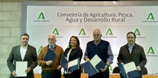 Andalucía presentará alegaciones conjuntas al Plan Estratégico de la PAC