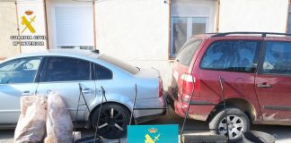 Diez detenidos por robar miles de kilos de aceitunas en Toledo y Ciudad Real