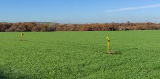 Piden que los eco regímenes estén exentos en el impuesto de sociedades durante la PAC 2023-2027 campo