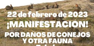 VOX apoya la manifestación por la plaga de conejos en Castilla-La Mancha manifestación plaga de conejos