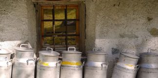 2022, año negro para el sector lácteo, cerraron casi dos granjas de leche al día