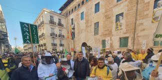 Apicultores valencianos se concentran para protestar por el abandono de las administraciones al sector