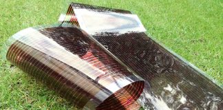 Crearán paneles solares transparentes para compatibilizar la generación de energía y la agricultura