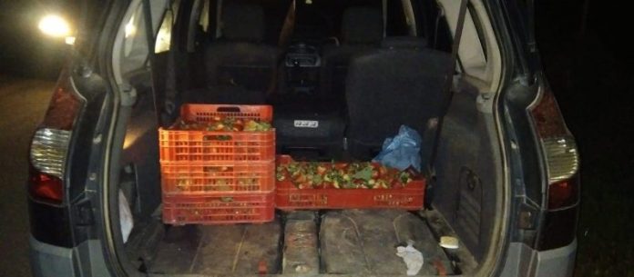 robos fresas UPA robos de fresas