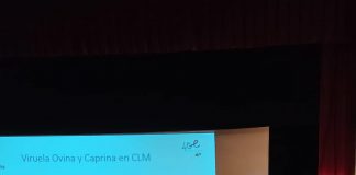 ASAJA Cuenca lamenta que Consejería de Agricultura ha actuado “tarde y mal” sobre la viruela ovina y caprina