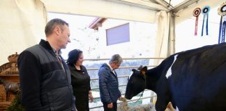 ¿Puede un hombre ordeñar más rápido que una máquina? Feria de la Leche